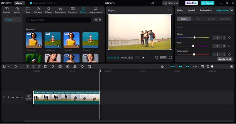 Image result for Color Grading Course Vsdc