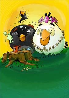 Image result for One Example of Microevolution