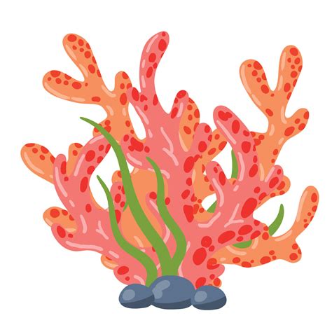 Coral Cartoon Images