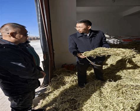 防汛督导竟拍成领导走秀！县委书记“六亲不认的步伐”引爆全网群嘲