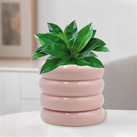 Sunny Club Indoor Pink Ceramic Planter, Small