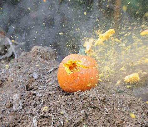 Image result for Exploding Pumpkin Demo