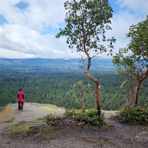 Discover the Spectacular Views from Little Mountain Lookout Parksville ...