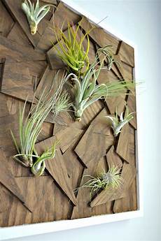 Air Plants For Wall by Diy Air Plant Wall From Scrap Wood Duckling House Air Plants For Wall