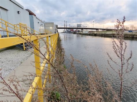 750k pounds of invasive silver carp harvested from Illinois River ...