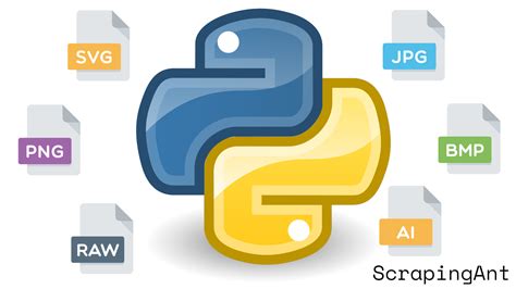 Image result for Python Applications Pics Download