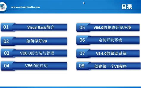 Visual Basic 6 的图像结果