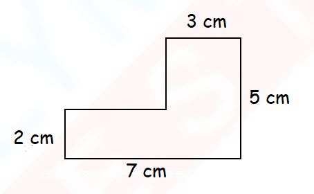 Level 2 IMO Question Paper for Class 3 - Set 7 | Olympiad tester