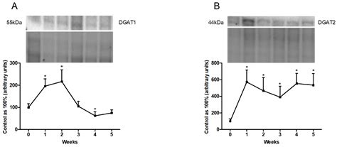 Arachidonic Acid as an Early Indicator of Inflammation during Non ...