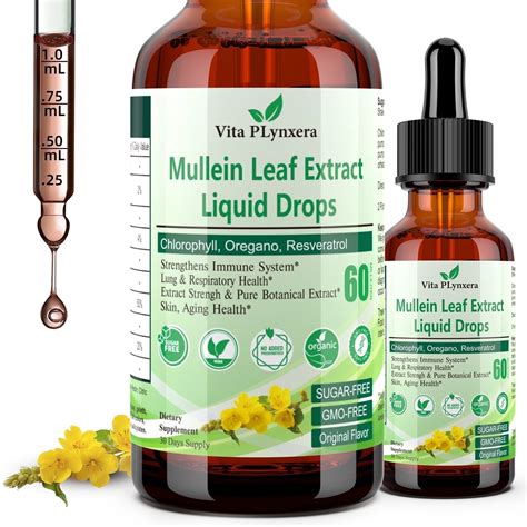 Mullein Drops for Lungs, Organic Mullein Leaf Extract for Lung Detox w. Chlorophyll Elderberry ...