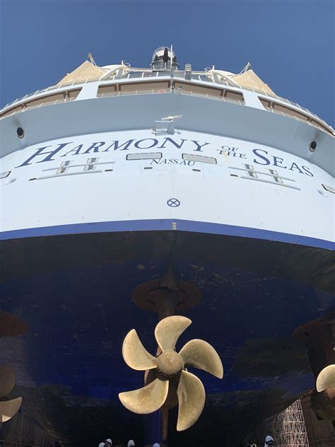What Is Cruise Ship Called In Spanish at Claire Gregory blog