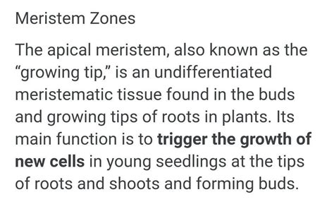Fill in the blanks:1. Apical meristem is present at the growing tips of ...