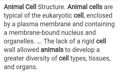 Detailed description of plant and animal cell - Brainly.in