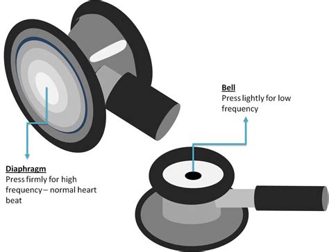 How to Use a Stethoscope: Complete Guide