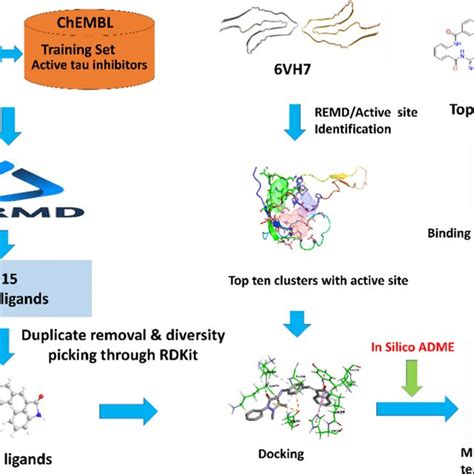 Image result for PyRx Virtual Screening Tool
