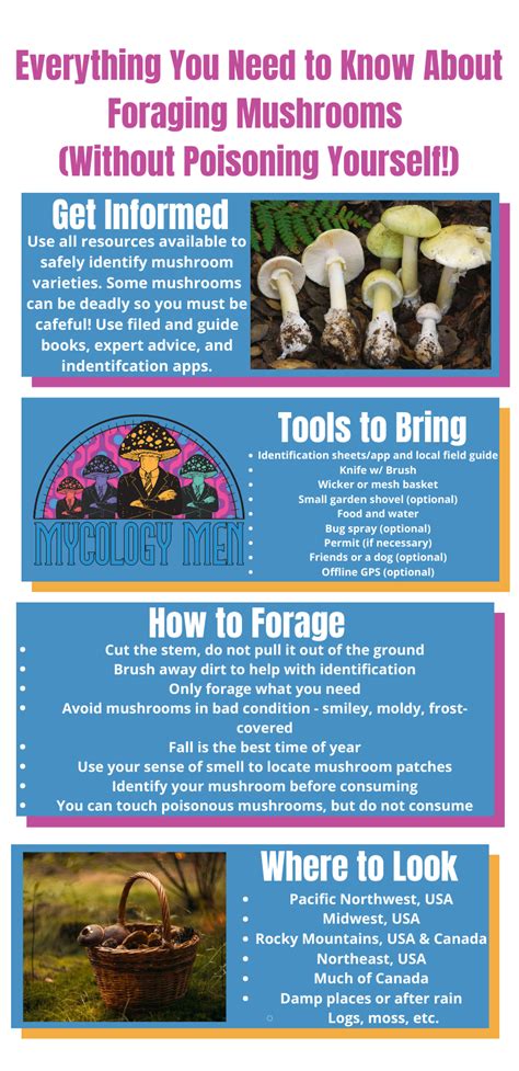 Image result for Foraging Guide