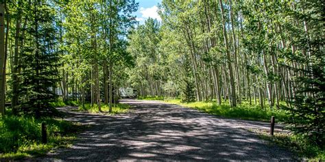 Silver Jack Campground Colorado: Reservations & Camping Info