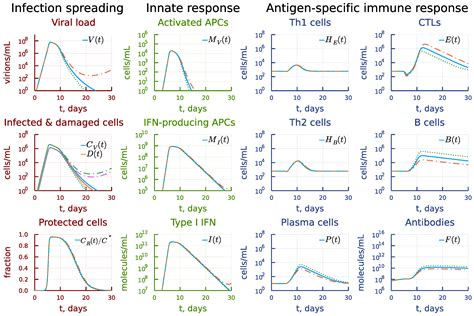 Predicting the Kinetic Coordination of Immune Response Dynamics in SARS ...