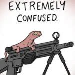 Image result for Wonderfully Confusing Meme