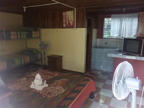 RIO DANTA HOSTEL (Costa Rica/La Fortuna de San Carlos) - Hotel Reviews ...