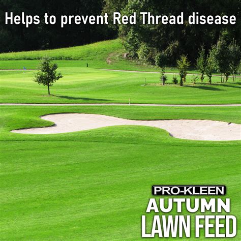 ProKleen Autumn Lawn Feed Fertiliser