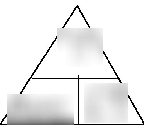 Image result for Module 3 Exam