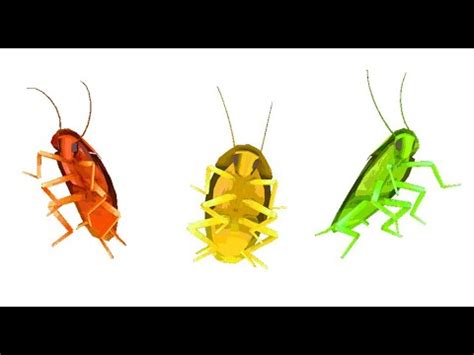 Dancing Cockroach 的图像结果