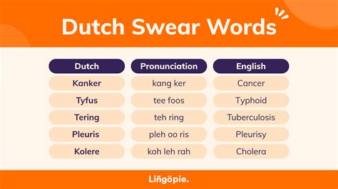 18+ Crazy Dutch Swear Words And Insults