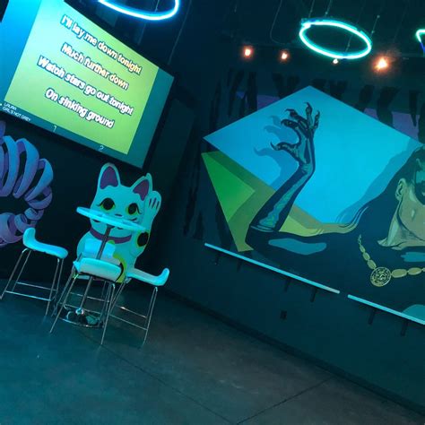 TOKYO KITTY (2025) All You Need to Know BEFORE You Go (with Photos ...