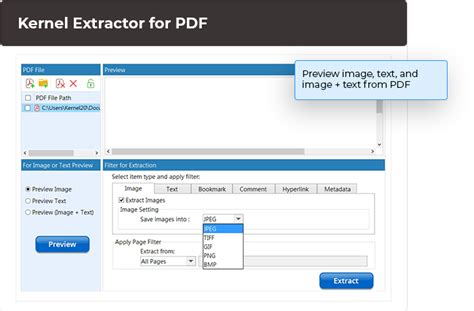 PDF Extraction Tutorial 的图像结果