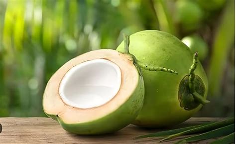 Green view "Chowghat Green Dwarf Coconut " Rare Hybrid- 1 Healthy Live ...