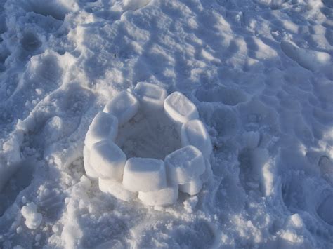 Image result for Snow Block IRL