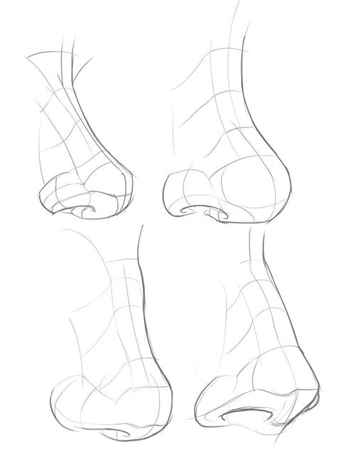 Tonal Nose Drawing Tutorial 的图像结果