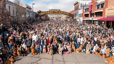 Thousands of golden retrievers are gathering in Golden, Colorado | wthr.com