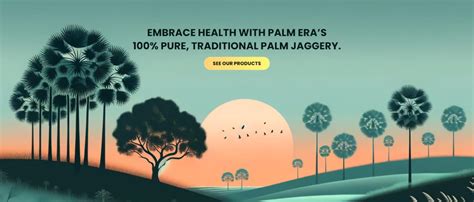 Palm Era Palm Jaggery Powder, 30 Sachets – Natural Sweetener ...