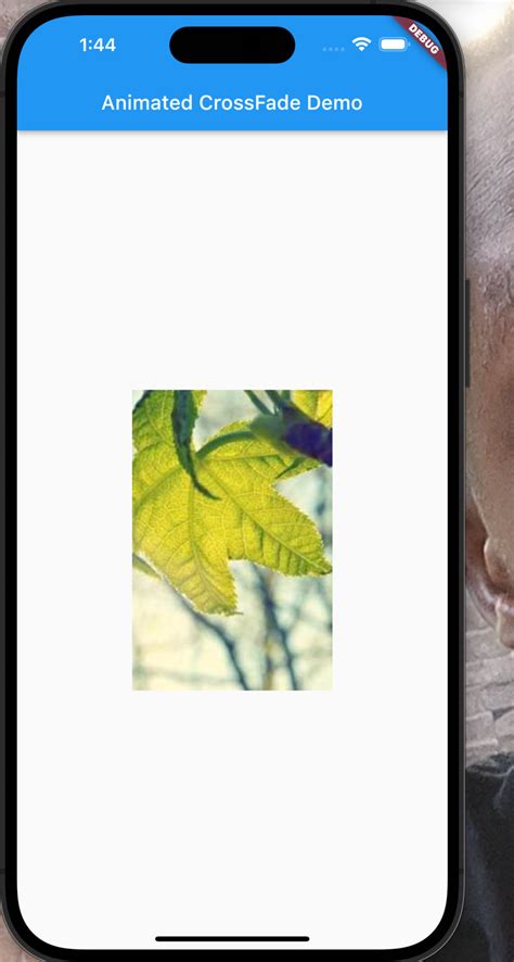 Image result for Flutter Animation Examples