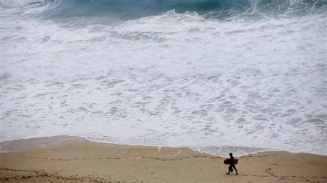 Indian researcher traces tectonic evolution of Indian Ocean basin ...