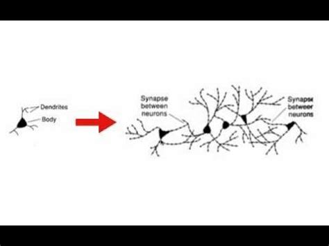 Image result for Brain Learning Process