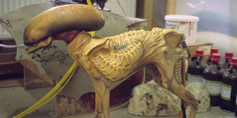 Image result for Alien 3 Dog Xenomorph