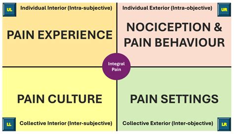 Reconfiguring Pain Interpretation Within a Social Model of Health Using ...