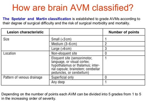 Image result for AVM Brain