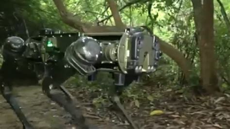 Indian Army’s Robotic MULE in action at LoC Sunderbani