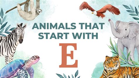 99 Animals That Start with E: From Elusive Eared Quetzals to Enigmatic ...