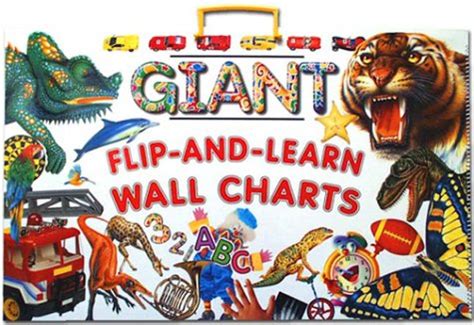 Giant Flip-and-Learn Wall Charts : Amazon.in: Books