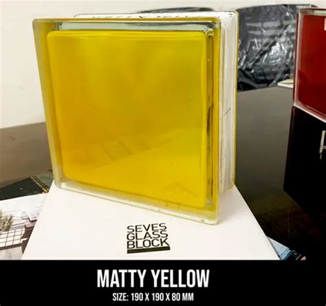 Glass Block - Brilly Ruby Glass Block Service Provider from New Delhi