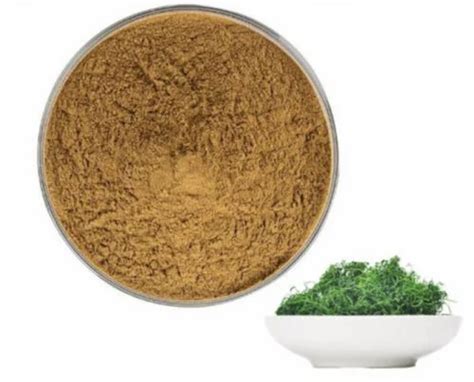 Fruit Extracts - Lycium Extracts Powder Manufacturer from Nagpur