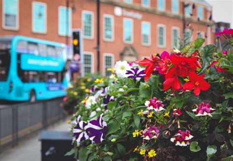 Mobility initiatives impacting positively on the environment | Steer