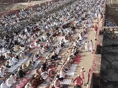 Eid-ul-Azha celebrations begin with prayers in Jaipur: Qazi appeals for ...