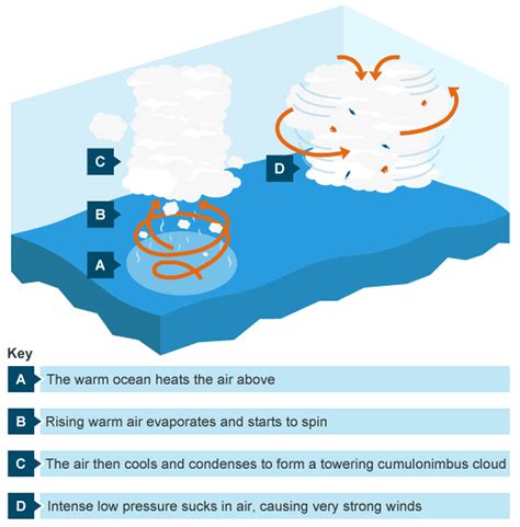 How Hurricanes Form What Causes Hurricane Models