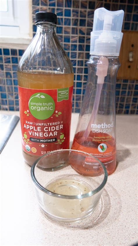 Homemade Fruit Fly Trap - The BEST Way To Get Rid Of Fruit Flies!